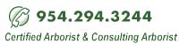 Fort Lauderdale Tree Services, Care & Consultation - 954-294-3244